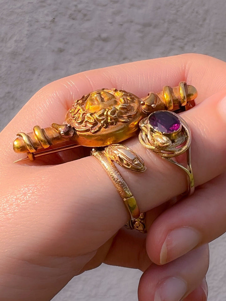 Outrageous Medusa Medallion Brooch