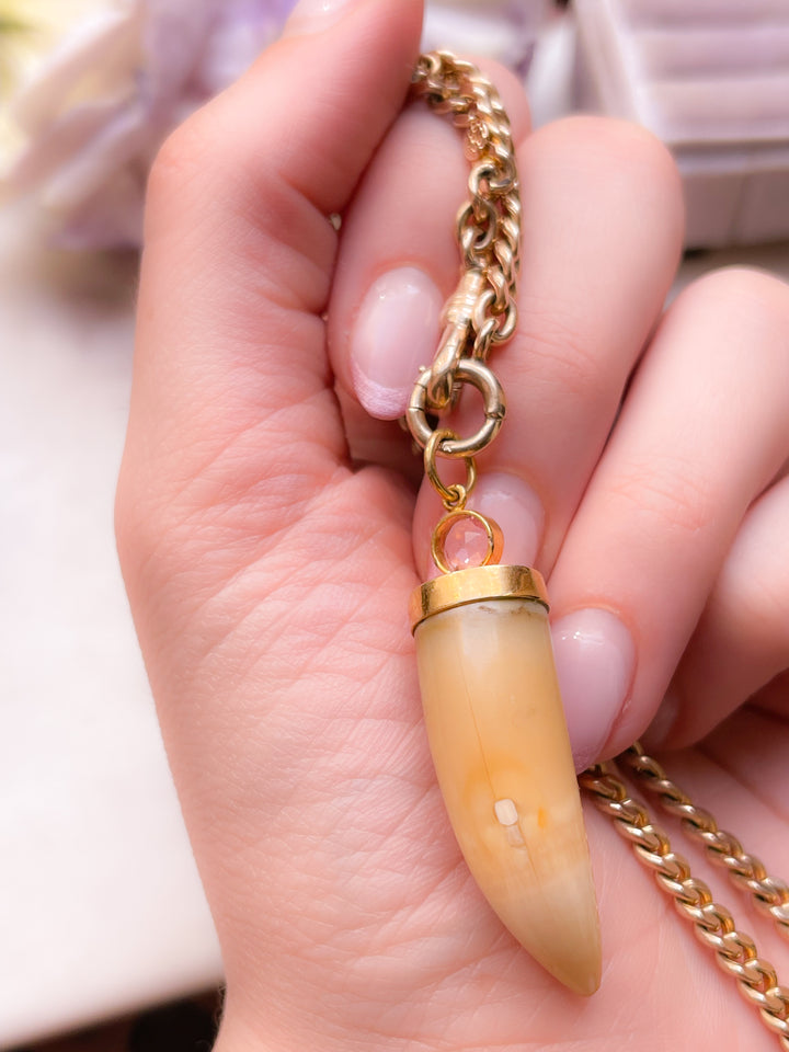 Gorgeous Victorian Tiger Fang with Purple Sapphire Bale Fitting
