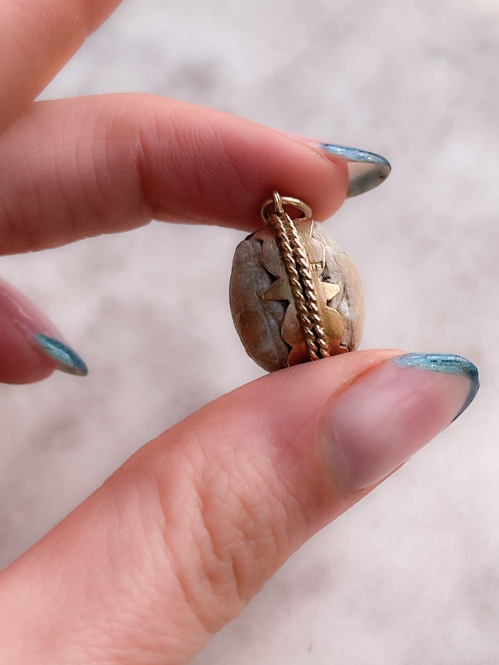 Double-Set Ancient Egyptian Scarabs